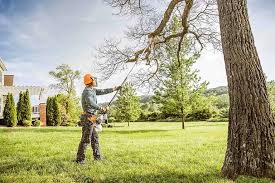 Best Tree Maintenance Programs  in Good Hope, CA